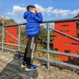 老婆逼我买车头像
