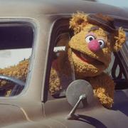 漫天飞舞958的个人资料头像