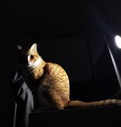 ther__的个人资料头像