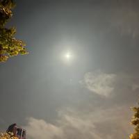 用户8212883794460头像