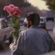 无忧478的个人资料头像