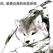 方苕爱吃瓜的个人资料头像