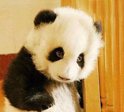 keys的个人资料头像