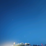 核桃树边的海岸头像