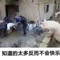 寥落枫头像