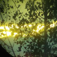 随手就取了个名称头像