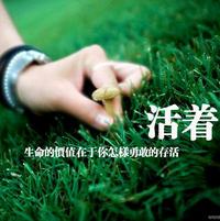 皖北—青年头像