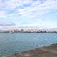 海岛无寂寞头像
