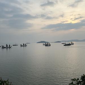 扬晓帆头像