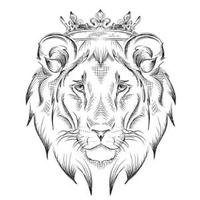 赤心木一兢头像