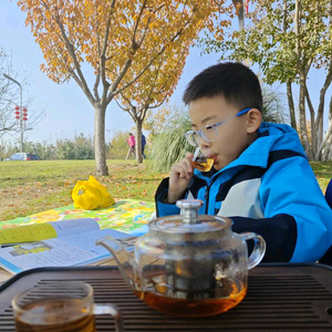 轩宝学习日记头像