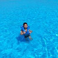 狼何必装羊528头像