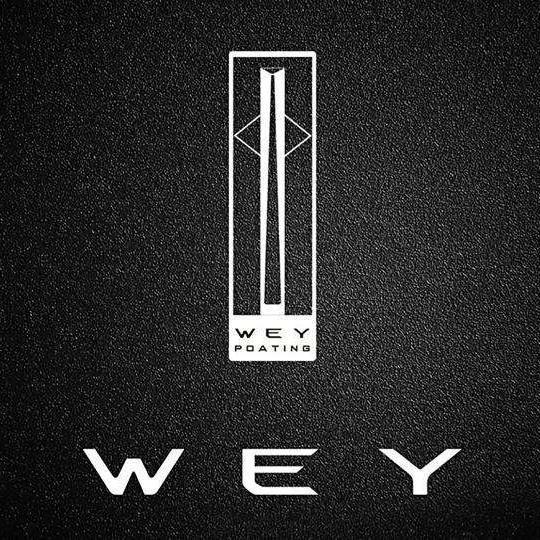 武汉建银汉海WEY头像