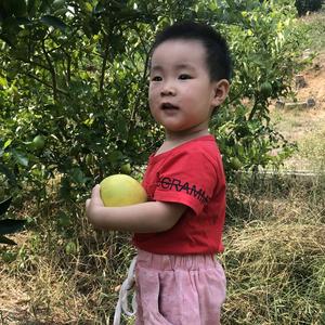 啊郭0E8x头像