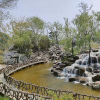 爱旅游的小妞头像