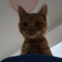 用户7262439291头像