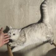 夜路下的小风的个人资料头像