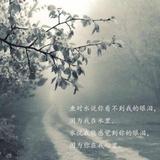 只若初见4295头像