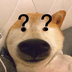 拾伍头像