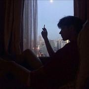照曜的个人资料头像