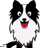 猫咪有飞机头像