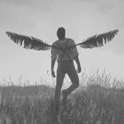 而已675的个人资料头像