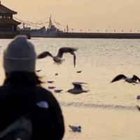番茄d西红柿头像
