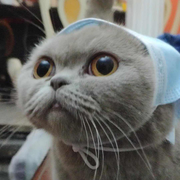 吹风机大哥的个人资料头像