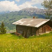 安静602的个人资料头像