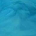留恋沧海头像