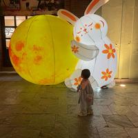 小虎妞嘟嘟头像