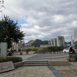 五毛八445头像