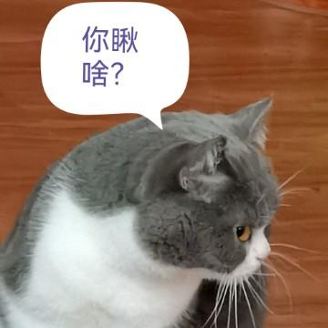 云嘻嘻嘻嘻头像