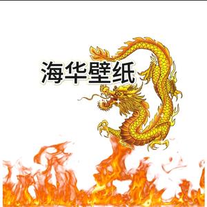 海华壁纸头像