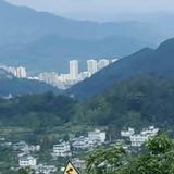 王三哥头像