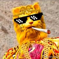 九天独揽月头像