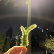 越努力越幸运哦的个人资料头像