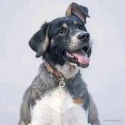 黑水符卿的个人资料头像