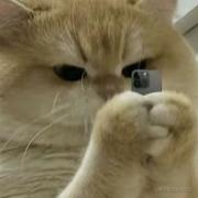 yin_的个人资料头像