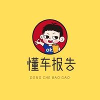 懂车车报告头像