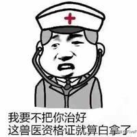 无证驾驶a头像