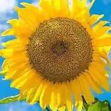 用户7606573398532头像