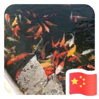 用户426149203498头像