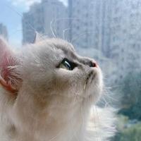 赵某人吧啊头像