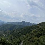 自由的枫叶Pm头像