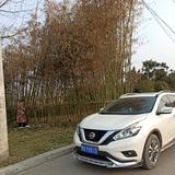 农地膜，地毯地板革批发部头像