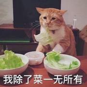 南方姑娘上班爱摸鱼的个人资料头像