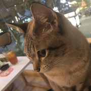 打工人1的个人资料头像