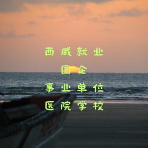 西安就业指导安老师头像