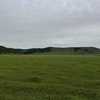 才知道用真名头像